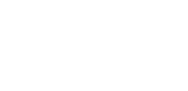 PBL logo white